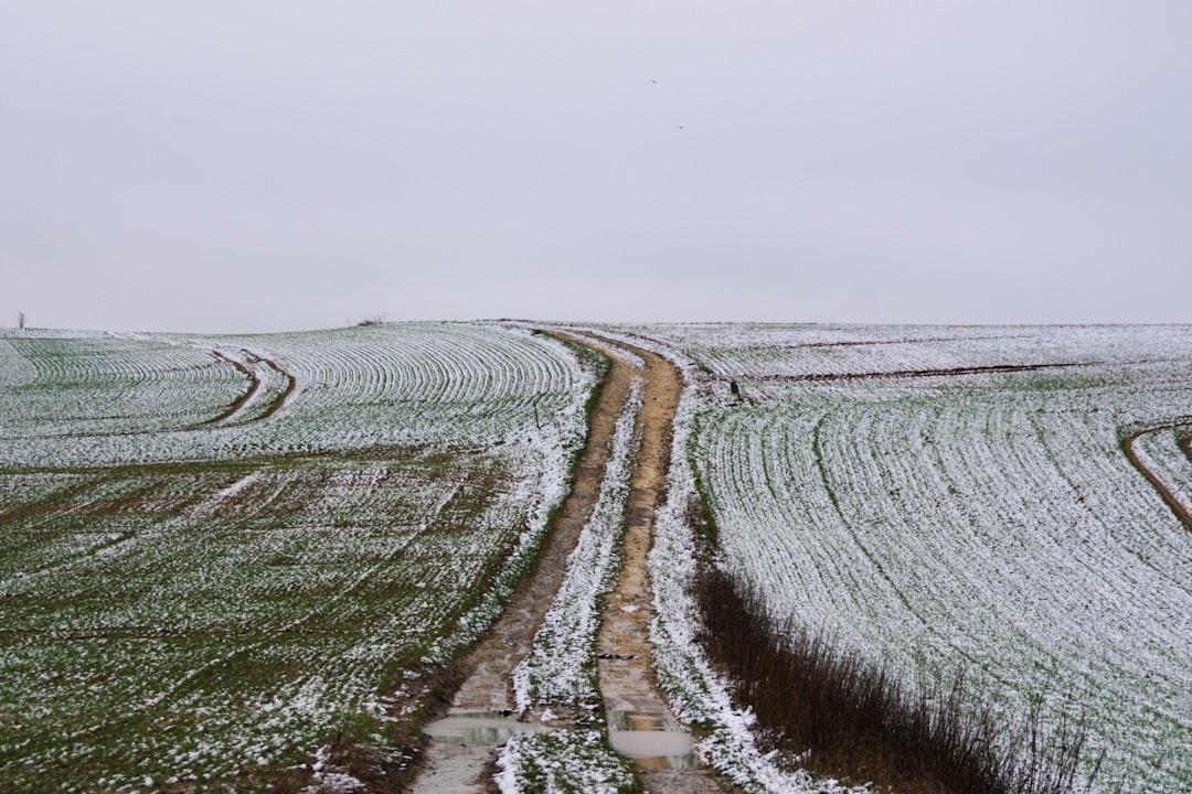 Jeune Ardennais : Battue Trépidante