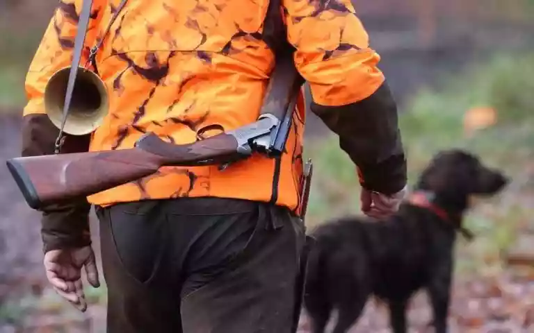 Décalages dans les Dates de Chasse Répercussions pour le Petit Gibier