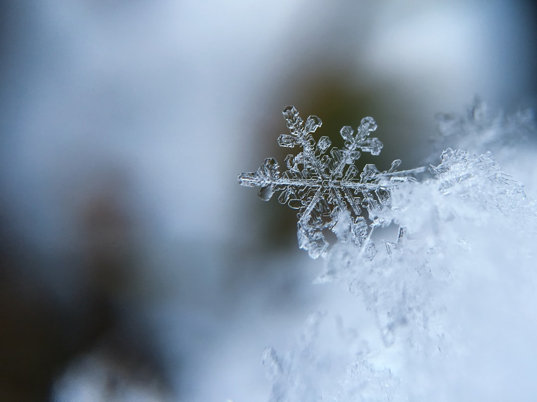 Chasse en temps de neige Que dit la loi