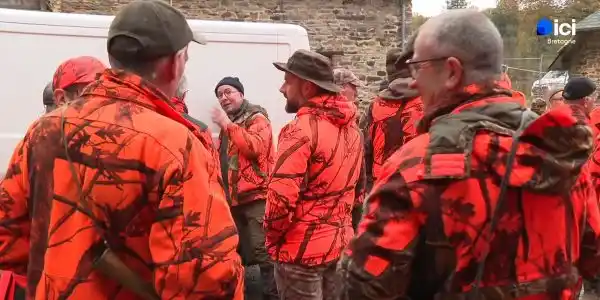 Le rôle clé des chasseurs bretons dans la gestion du sanglier