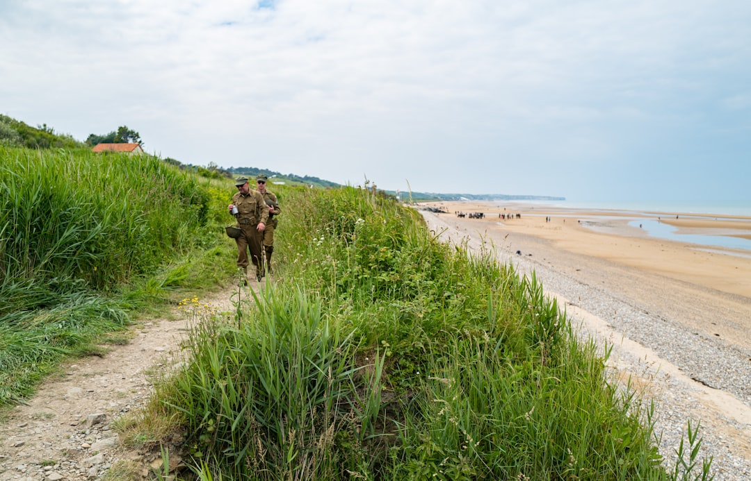Nouvelles règles pour la chasse au sanglier dans la Manche et le Calvados à partir d&rsquo;avril